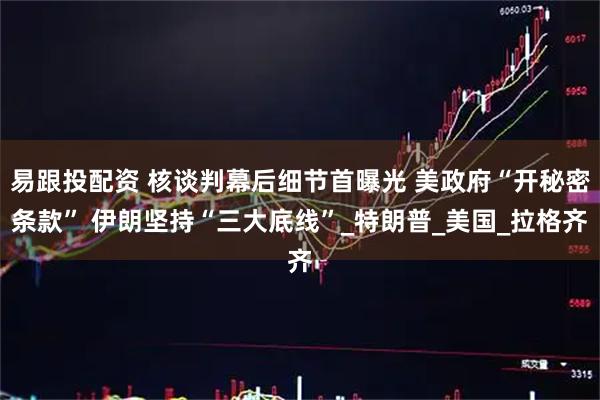 易跟投配资 核谈判幕后细节首曝光 美政府“开秘密条款” 伊朗坚持“三大底线”_特朗普_美国_拉格齐