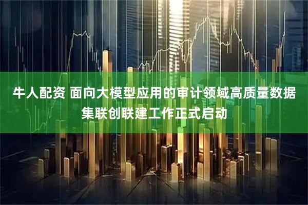 牛人配资 面向大模型应用的审计领域高质量数据集联创联建工作正式启动