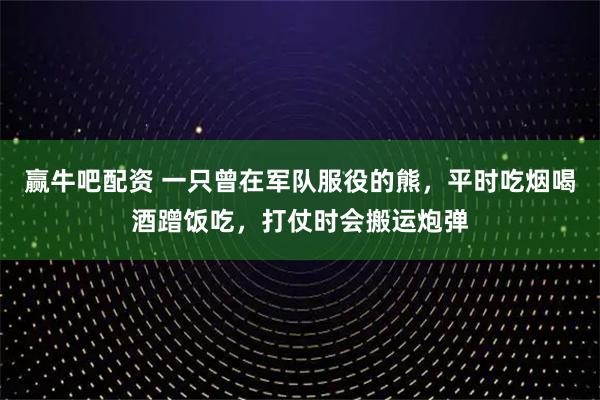 赢牛吧配资 一只曾在军队服役的熊,平时吃烟喝酒蹭饭吃,打仗时会搬运炮弹